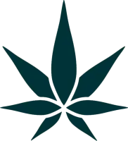 cbd leaf