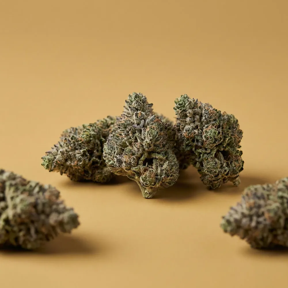 Achat de CBD en ligne près de Brindas