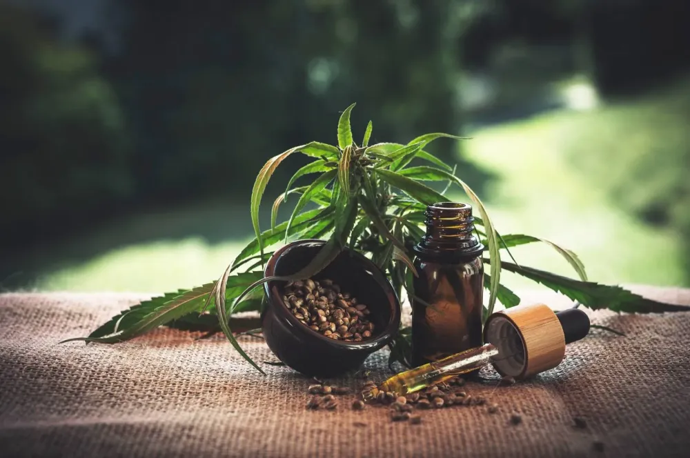 Comment consommer du CBD